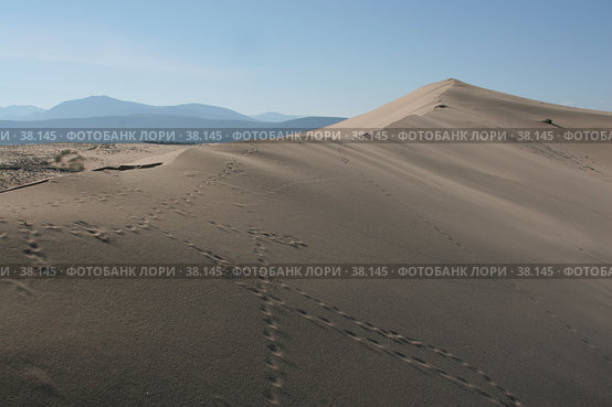 Песчаный бархан. Стоковое фото, фотограф Андрюхина Анастасия / Фотобанк Лори