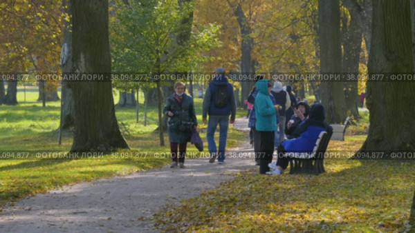Петергоф, парк Александрия осенью. Люди прогуливаются по парку. Peterhof, Alexandria Park in autumn. People are walking in the park. (2021 год). Редакционное видео, видеограф Евгений Романов / Фотобанк Лори