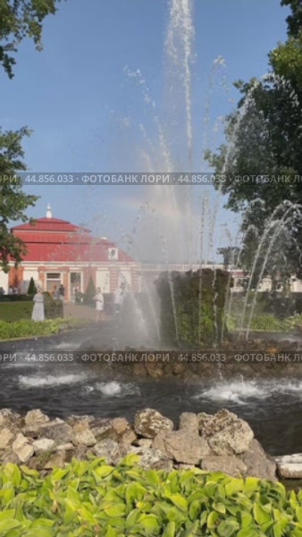 PETERGOF, SAINT PETERSBURG, RUSSIA - September 17, 2024: Vertical video of Lower Park of Peterhof and Sheaf fountain in front of Monplaisir Palace-Museum - Peter Great's favorite country palace. Редакционное видео, видеограф Виктория Катьянова / Фотобанк Лори