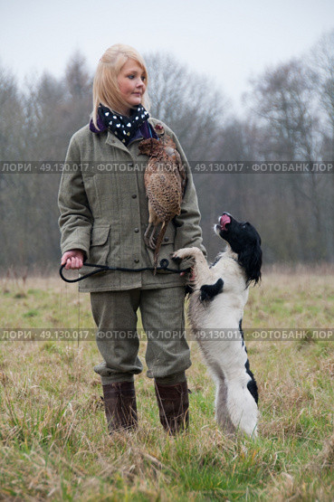 Picker up with her spaniel on a pheasant shoot. Стоковое фото, агентство Ingram Publishing / Фотобанк Лори