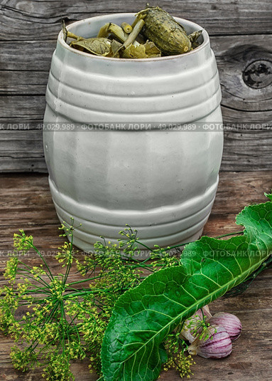 pickled cucumbers. Pickled cucumbers with dill on wooden background in country style.Photo tinted. Стоковое фото, агентство Ingram Publishing / Фотобанк Лори