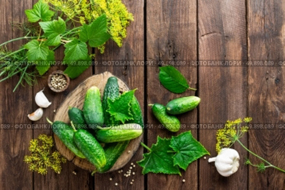 pickling cucumbers. Стоковое фото, агентство Ingram Publishing / Фотобанк Лори