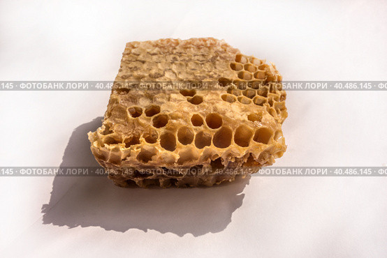 Piece of honeycomb with natural honey and natural shadows isolated on a white. Стоковое фото, фотограф Iva Noel / Фотобанк Лори