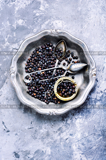 Pile of dry juniper berries. Pile of dry juniper berries prepared for healing teas and extracts. Стоковое фото, агентство Ingram Publishing / Фотобанк Лори