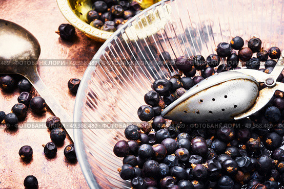 Pile of dry juniper berries. Pile of dry juniper berries prepared for healing teas and extracts. Стоковое фото, агентство Ingram Publishing / Фотобанк Лори