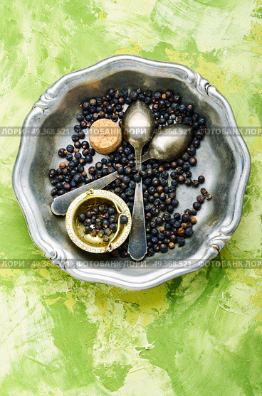 Pile of dry juniper berries. Pile of dry juniper berries prepared for healing teas and extracts. Стоковое фото, агентство Ingram Publishing / Фотобанк Лори