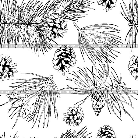 Pine fir christmas tree cedar spruce and cones seamless pattern vector illustration. Стоковая иллюстрация, агентство Ingram Publishing / Фотобанк Лори