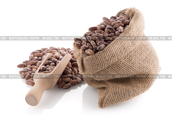 Pinto beans bag with wooden scoop on white background. Стоковое фото, агентство Ingram Publishing / Фотобанк Лори