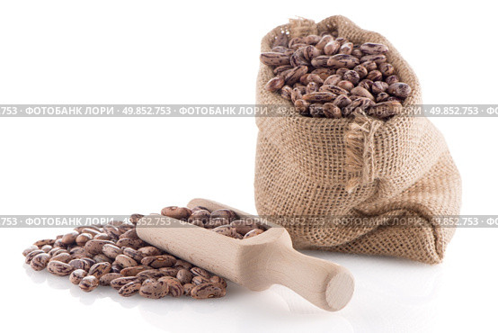 Pinto beans bag with wooden scoop on white background. Стоковое фото, агентство Ingram Publishing / Фотобанк Лори