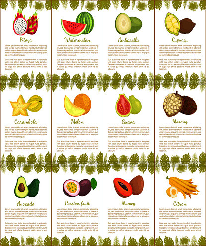 Pitaya and watermelon posters set vector. Tropical exotic fruits ambarella and cupuacu, carambola and mamey, citron papaya. Monstera leaves decoration. Pitaya and Watermelon Marang Citron Posters Vector. Стоковая иллюстрация, агентство Ingram Publishing / Фотобанк Лори