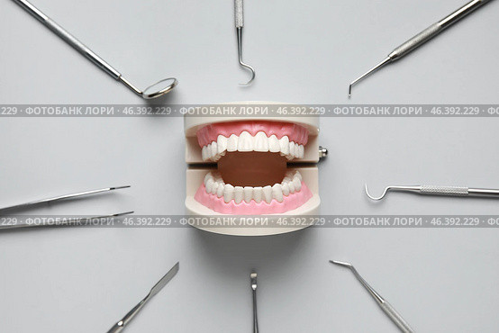 Plastic jaw model with dental tools on white background. World Dentist Day. Стоковое фото, фотограф Pixel_shot / Фотобанк Лори