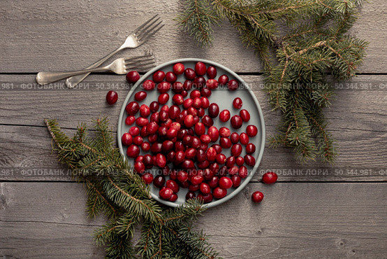 plate cranberries with pine forks. Стоковое фото, агентство Ingram Publishing / Фотобанк Лори