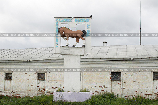 Племенной конный завод "Гаврилово-Посадский", Ивановская область (2013 год). Редакционное фото, фотограф Дмитрий Неумоин / Фотобанк Лори