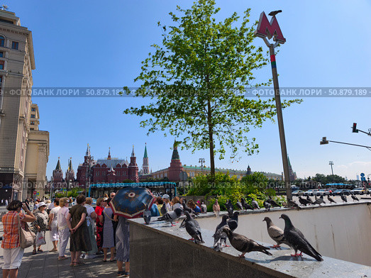 Площадь возле входа в метро "Охотный ряд" в Москве. Голуби. Редакционное фото, фотограф Мария Сергеева / Фотобанк Лори