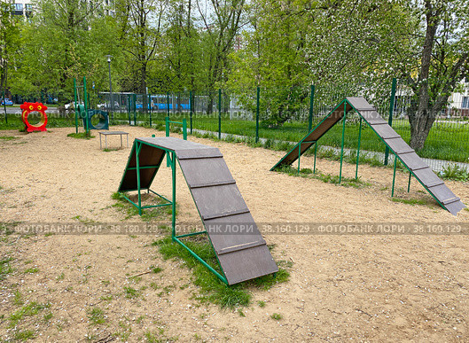 Площадка для дрессировки собак (2022 год). Редакционное фото, фотограф Мария Кылосова / Фотобанк Лори