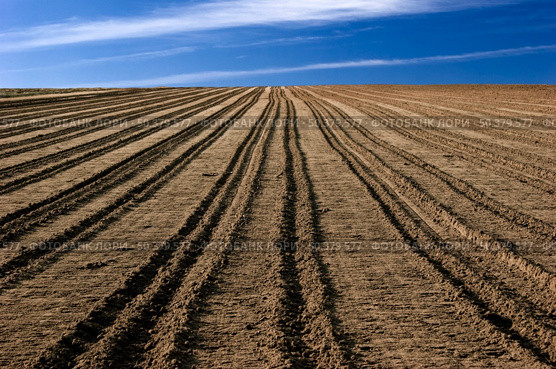 ploughed field ready to be cultivated. Стоковое фото, агентство Ingram Publishing / Фотобанк Лори