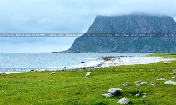 Пляж Haukland, Норвегия, Лофотены (2013 год). Стоковое фото, фотограф Юрий Брыкайло / Фотобанк Лори