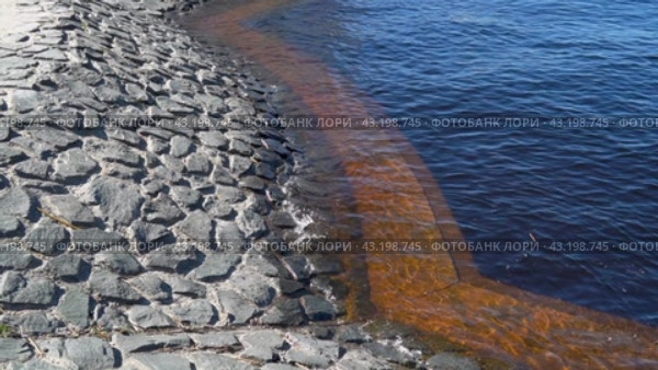Под водой Онежского озера нижняя часть гранитной набережной в городе Петрозаводске весной во время половодья (2024 год). Стоковое видео, видеограф Sergei Gorin / Фотобанк Лори