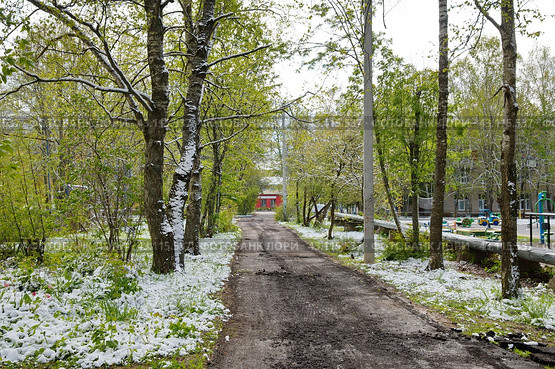 Подмосковный двор после снегопада в начале мая (2024 год). Стоковое фото, фотограф Елена Коромыслова / Фотобанк Лори