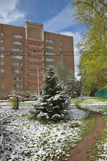 Подмосковный двор после снегопада в начале мая (2024 год). Стоковое фото, фотограф Елена Коромыслова / Фотобанк Лори