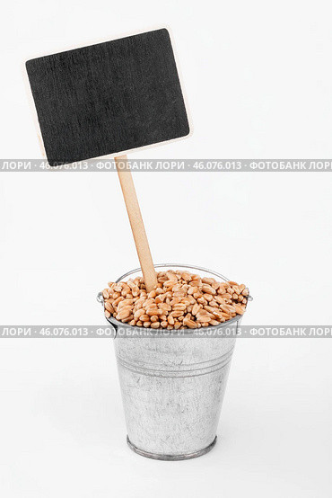 Pointer, price in bucket of  wheat grains. Стоковое фото, фотограф Александр Собко / Фотобанк Лори