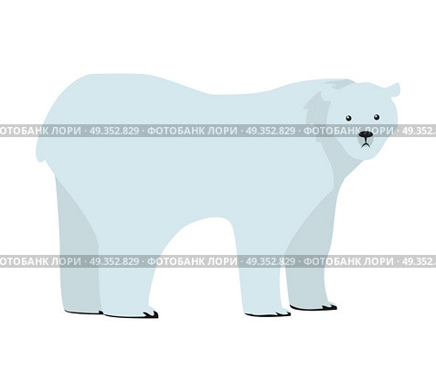 Polar bear flat style vector. Wild and dangerous predatory animal. North fauna species. For nature concepts, children s books illustrating, printing materials. Isolated on white background. Polar Bear Vector Illustration in Flat Design. Polar Bear Vector Illustration in Flat Design. Стоковая иллюстрация, агентство Ingram Publishing / Фотобанк Лори