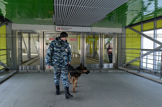 Полицейский кинолог с овчаркой проверяют переход на станции Московского центрального кольца (2017 год). Редакционное фото, фотограф Free Wind / Фотобанк Лори