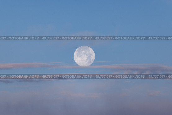 Полная луна и легкие облака. Стоковое фото, фотограф Сергей Мартынов / Фотобанк Лори