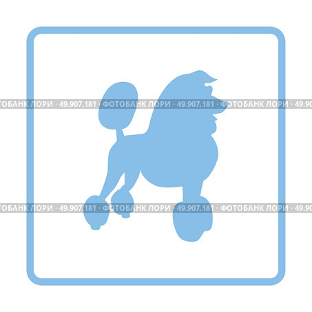 Poodle icon. Blue frame design. Vector illustration. Стоковая иллюстрация, агентство Ingram Publishing / Фотобанк Лори