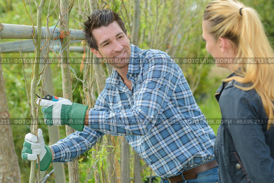 portrait of a gardener pruning sapling. Стоковое фото, агентство Ingram Publishing / Фотобанк Лори