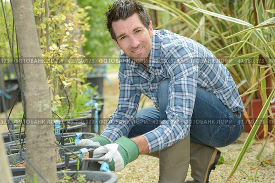 portrait of a gardener tending potted trees. Стоковое фото, агентство Ingram Publishing / Фотобанк Лори