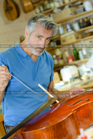 portrait of a man repairing cello. Стоковое фото, агентство Ingram Publishing / Фотобанк Лори