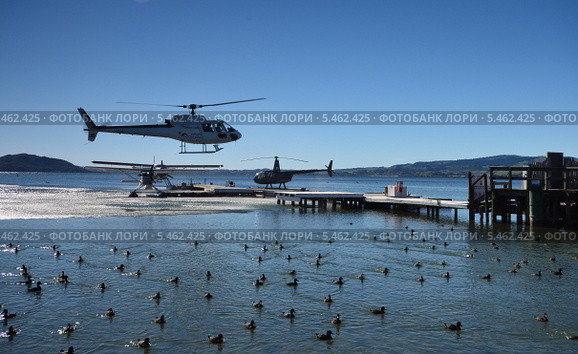 Посадка вертолета.Helicopter.Озеро Роторуа.Новая Зеландия. (2012 год). Редакционное фото, фотограф Мовчан Ольга / Фотобанк Лори