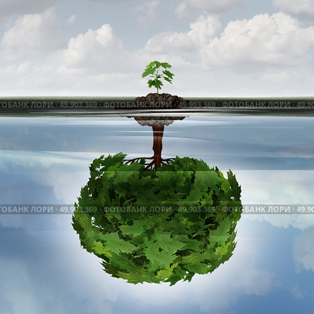 Potential success concept as a symbol for aspiration philosophy idea and determined growth motivation icon as a small young sappling making a reflection  of a mature large tree in the water with 3D illustration elements. Стоковое фото, агентство Ingram Publishing / Фотобанк Лори