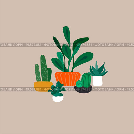 Potted plants collection. Urban jungle, trendy home decor with plants, cactus, tropical leaves. Set of house indoor plant vector hand drawn cartoon illustration. Potted plants collection. Urban jungle, trendy home decor with plants, cactus, tropical leaves. Set of house indoor plant vector hand drawn cartoon. Стоковая иллюстрация, агентство Ingram Publishing / Фотобанк Лори