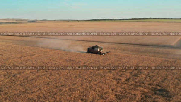 Поволжье, Оренбургская область, страда. Комбайны собирают урожай пшеницы на закате. Вид с воздуха. Volga region, harvest season. Combines harvest wheat at sunset. Aerial view. Стоковое видео, видеограф Евгений Романов / Фотобанк Лори