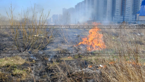 Пожарные за работой. Тушение огня. Горит сухая трава в черте города. Стоковое видео, видеограф Виктор Истомин / Фотобанк Лори