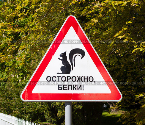 Предупредительный знак "Осторожно, белки!" Стоковое фото, фотограф Сергей Афанасьев / Фотобанк Лори