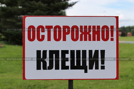 Предупреждающий знак "Осторожно! Клещи!" Стоковое фото, фотограф Ирина Краснова / Фотобанк Лори
