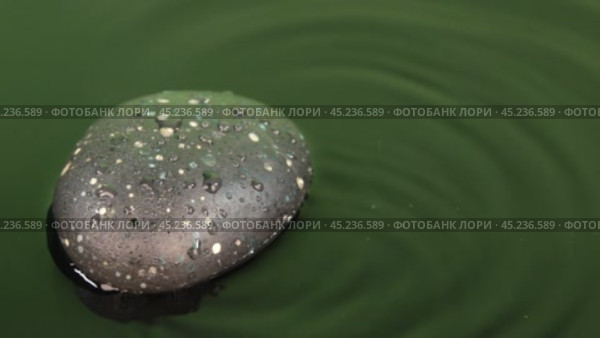 Приближение капли воды, падающей в зеленую воду и черный камень. Крупный план. Стоковое видео, видеограф Александр Собко / Фотобанк Лори