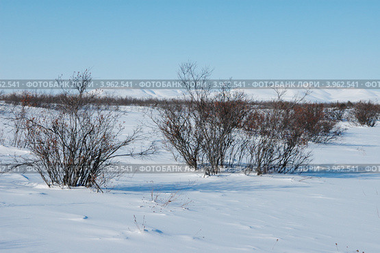 Природа Чукотки зимой. Стоковое фото, фотограф Наталья Спиридонова / Фотобанк Лори