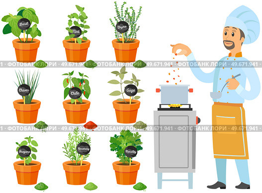 Professional chef stands with spoon and soup pot on stove. Man preparing dish, adding spice to meal. Male character adds ingredients to hot dish. Cook near plants with spices and herbs in pots. Cook near plants with spices and herbs in pots. Chef preparing dish, adding spice to meal. Стоковая иллюстрация, агентство Ingram Publishing / Фотобанк Лори