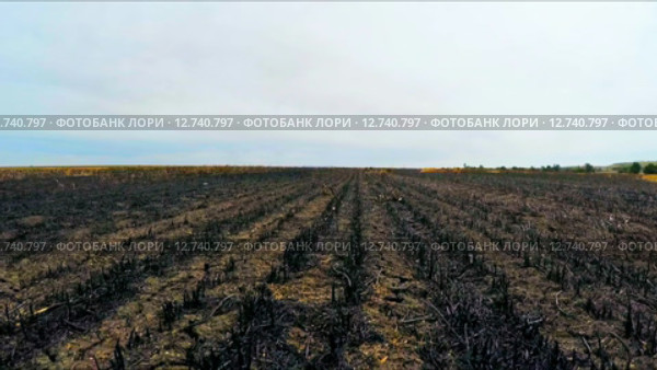 Пролетая над стерней в поле в России. Стоковое видео, видеограф Владимир Кравченко / Фотобанк Лори