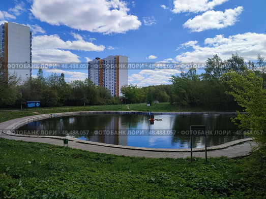 Пруд на улице Рокотова, Ясенево, г. Москва. Стоковое фото, фотограф Ирина Климкович / Фотобанк Лори