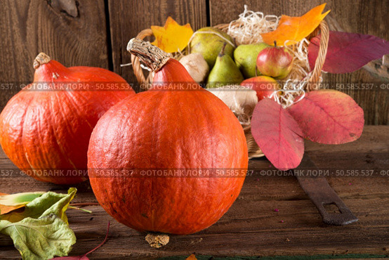 	pumpkin apfel basket. Стоковое фото, агентство Ingram Publishing / Фотобанк Лори