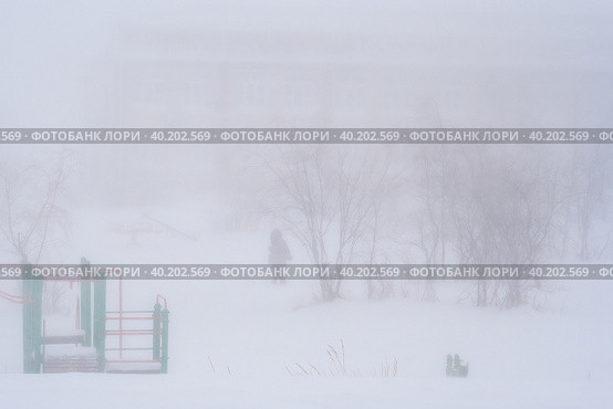 Пурга в городском сквере. Сильный зимний снежный шторм в городе. Суровый холодный северный климат в Арктике. Женщина идет по заснеженному городскому парку во время метели. Крайний Север России. Стоковое фото, фотограф Андрей Степанов / Фотобанк Лори