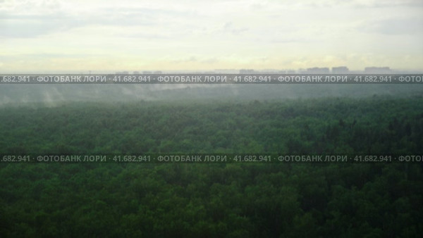 Rain over summer trees in a green forest and steam evaporation, timelapse. Wet weather with water condensation. Стоковое видео, видеограф Андрей Журавлев / Фотобанк Лори