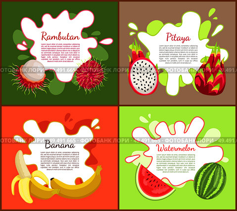 Rambutan and pitaya, posters set with text sample. Watermelon with seeds and vitamins, ripe banana, tasty tropical and exotic fruits with info vector. Rambutan and Pitaya Posters Vector Illustration. Стоковая иллюстрация, агентство Ingram Publishing / Фотобанк Лори
