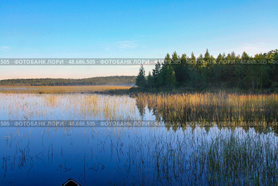Раннее утро в тихой заводи озера Елеярви в республике Карелия. Стоковое фото, фотограф Жигалов Евгений Павлович / Фотобанк Лори