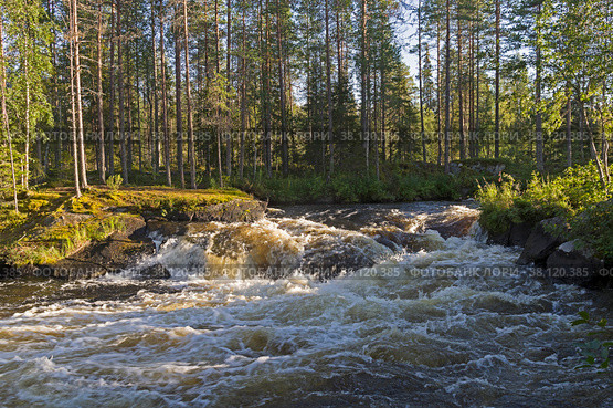 Rapids on the Karelian river. Стоковое фото, фотограф Сергей Рыбин / Фотобанк Лори